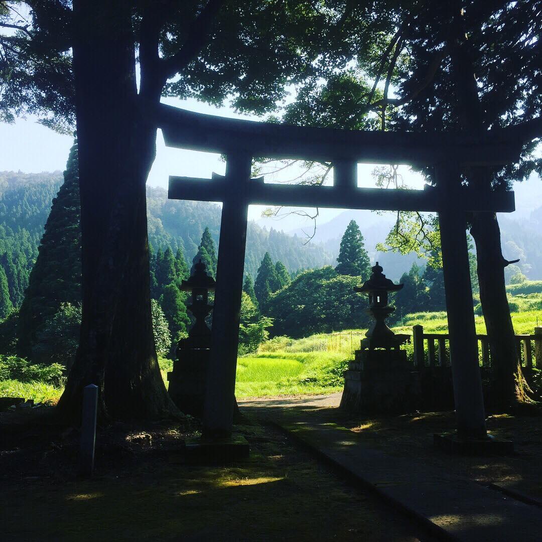 hachimanshrine1.jpg